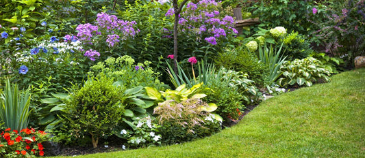 Aménager un parterre : comment faire ?