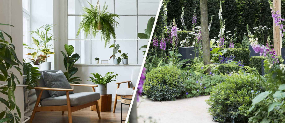 Des plantes pleines d'amour pour une vie remplie de bonheur