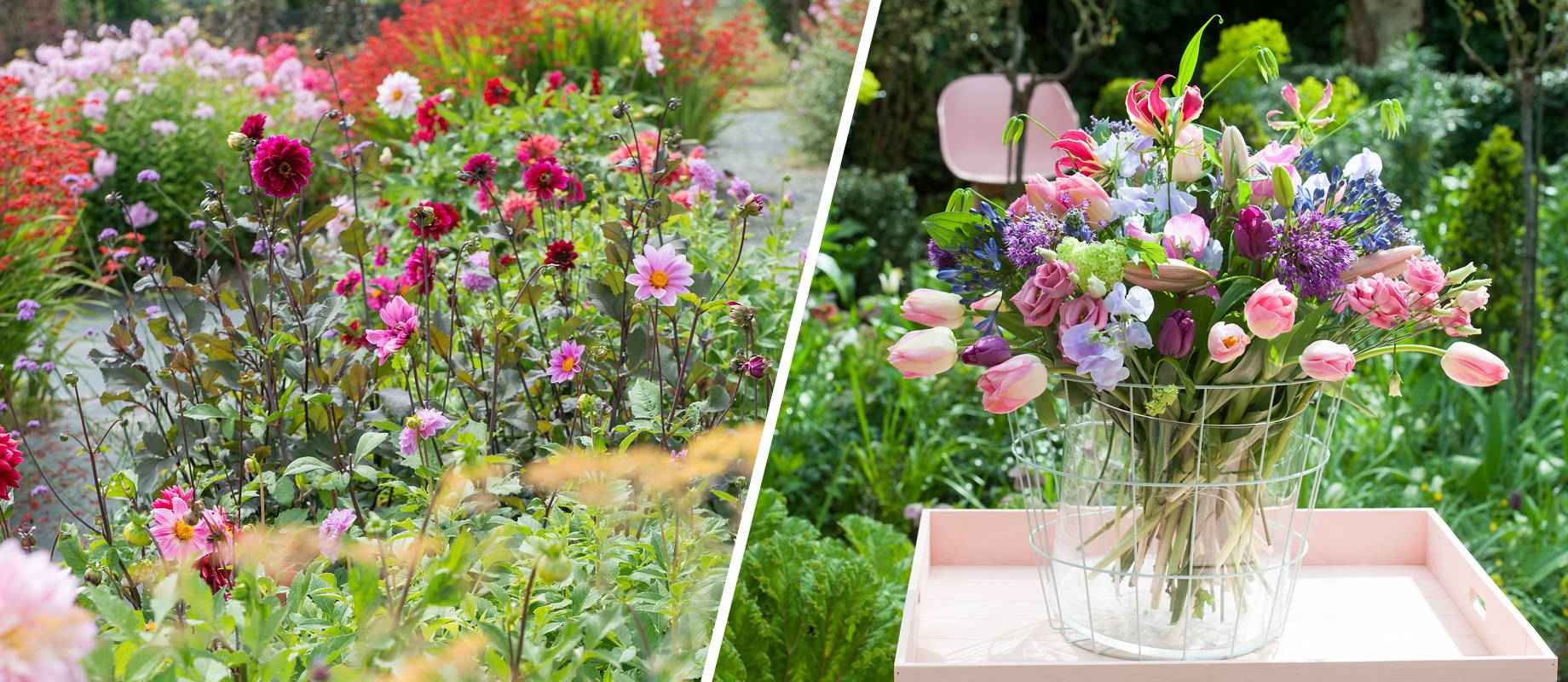 Créer un jardin de fleurs à couper pour faire des bouquets - Conseils