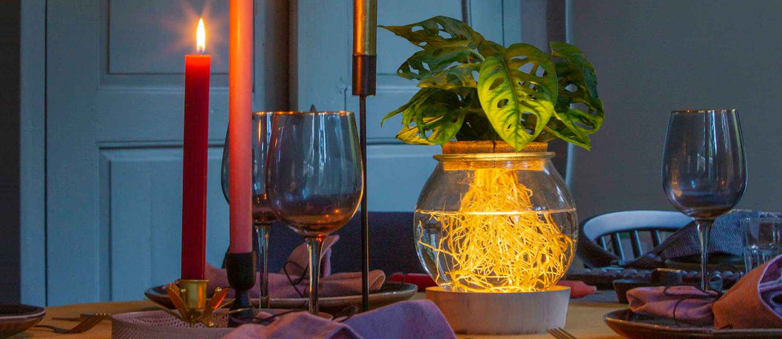 5 conseils pour un Noël paisible et chaleureux