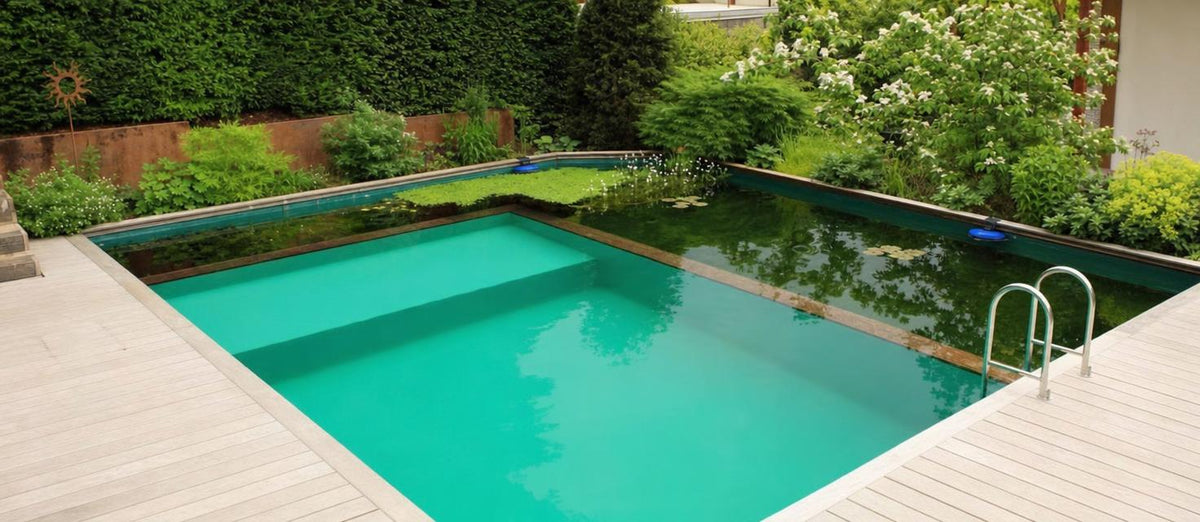 Créez votre propre piscine naturelle