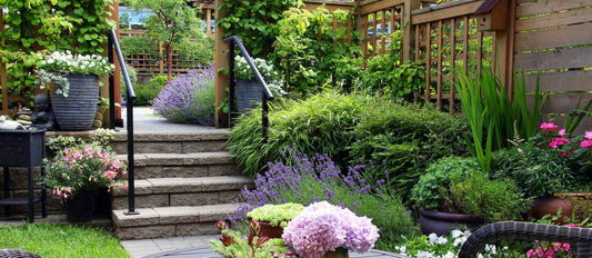 Top 10 des plantes de jardin à croissance rapide