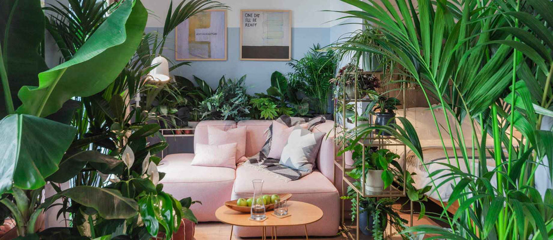 Créez votre propre jungle urbaine