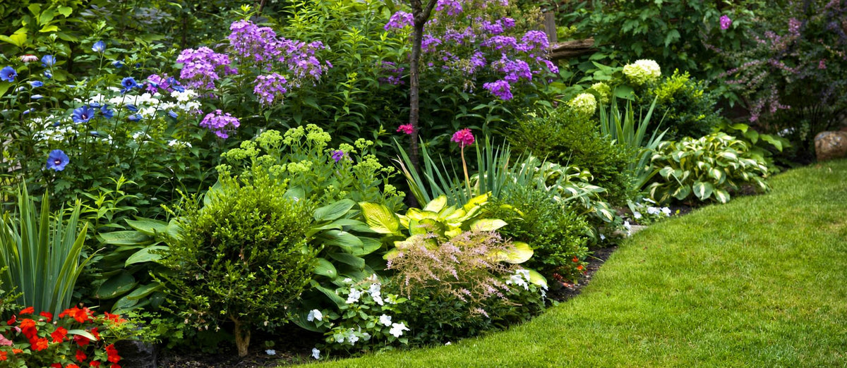 Aménager un parterre : comment faire ?