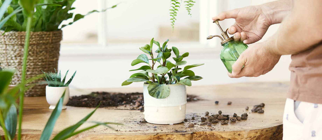 Par amour pour vos plantes