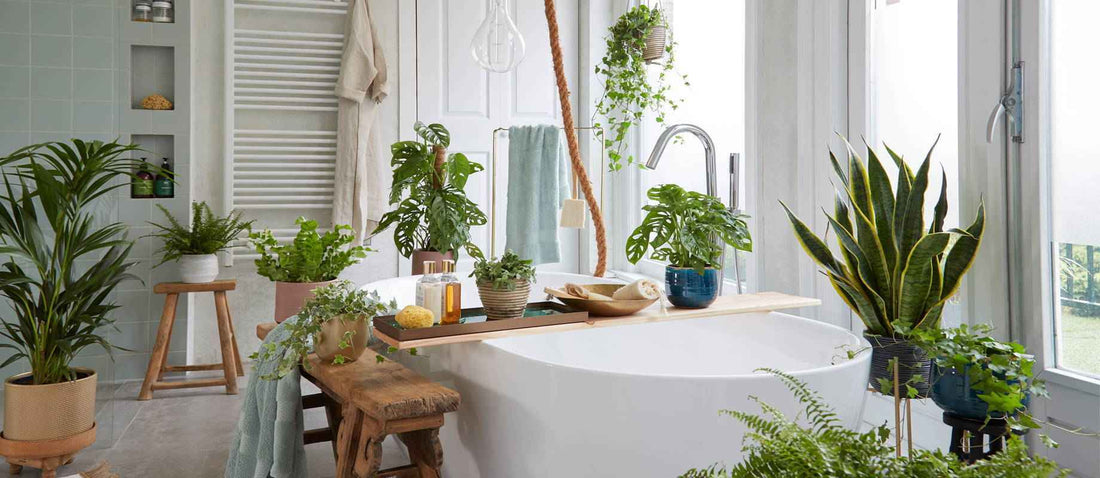 Créez votre propre spa à domicile
