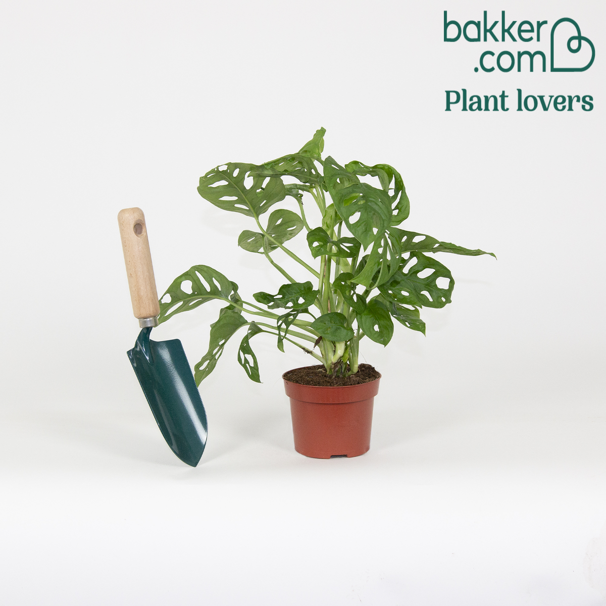 Bakker - Monstera Monkey Mask