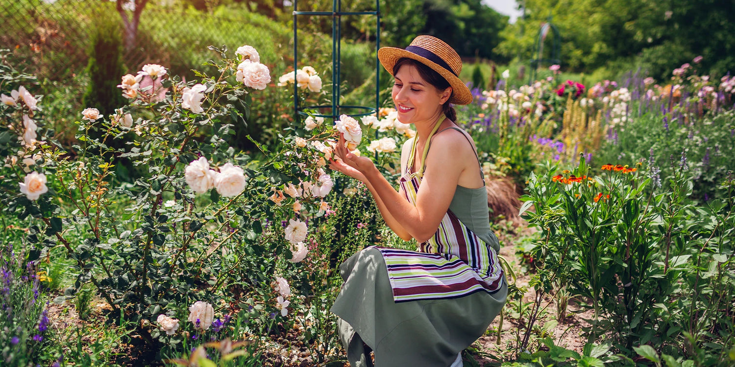 Un jardin aux mille parfums jusqu’à -30%