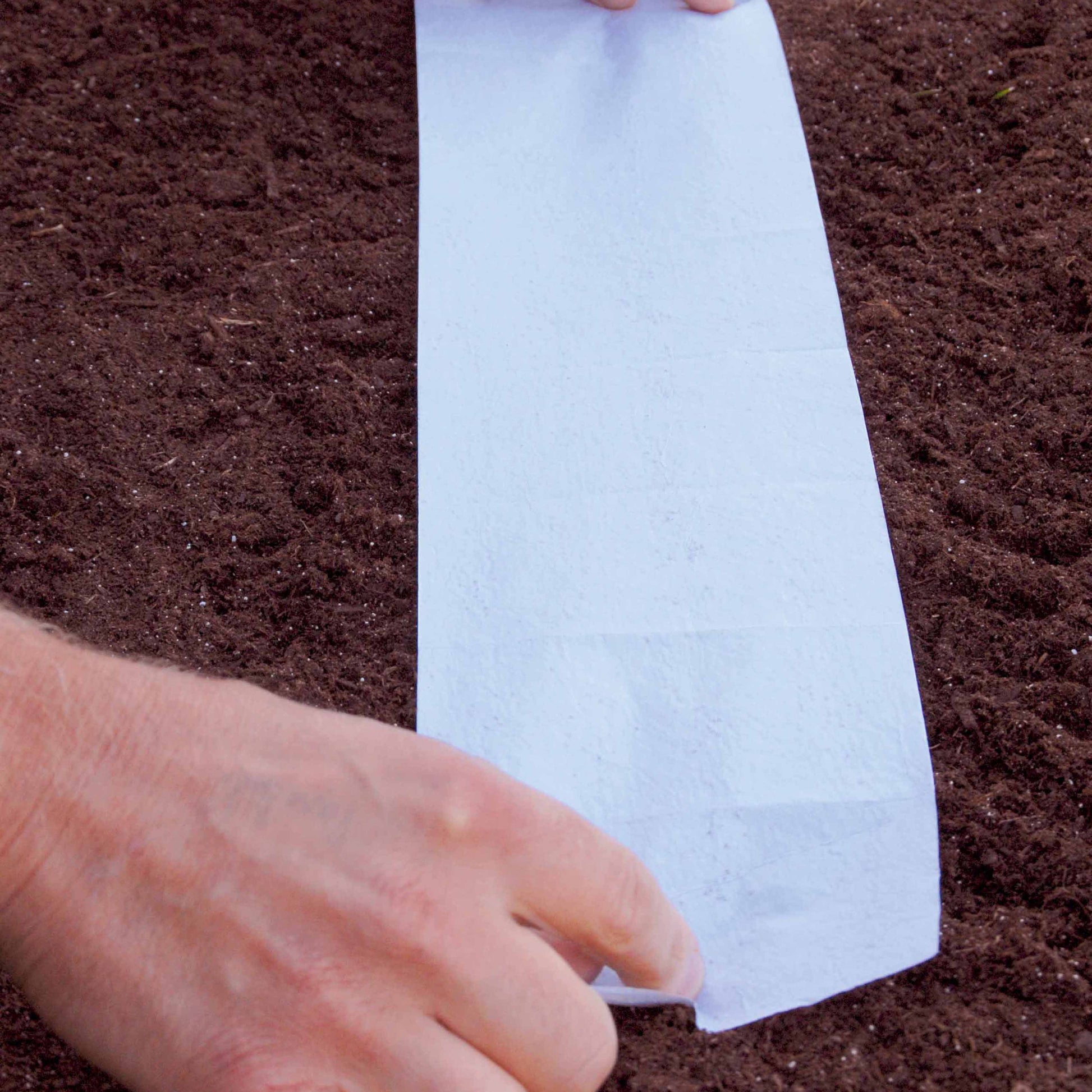 Vente 5 Tapis de graines Massif ensoleillé - Tapis de graines massif ensoleillé