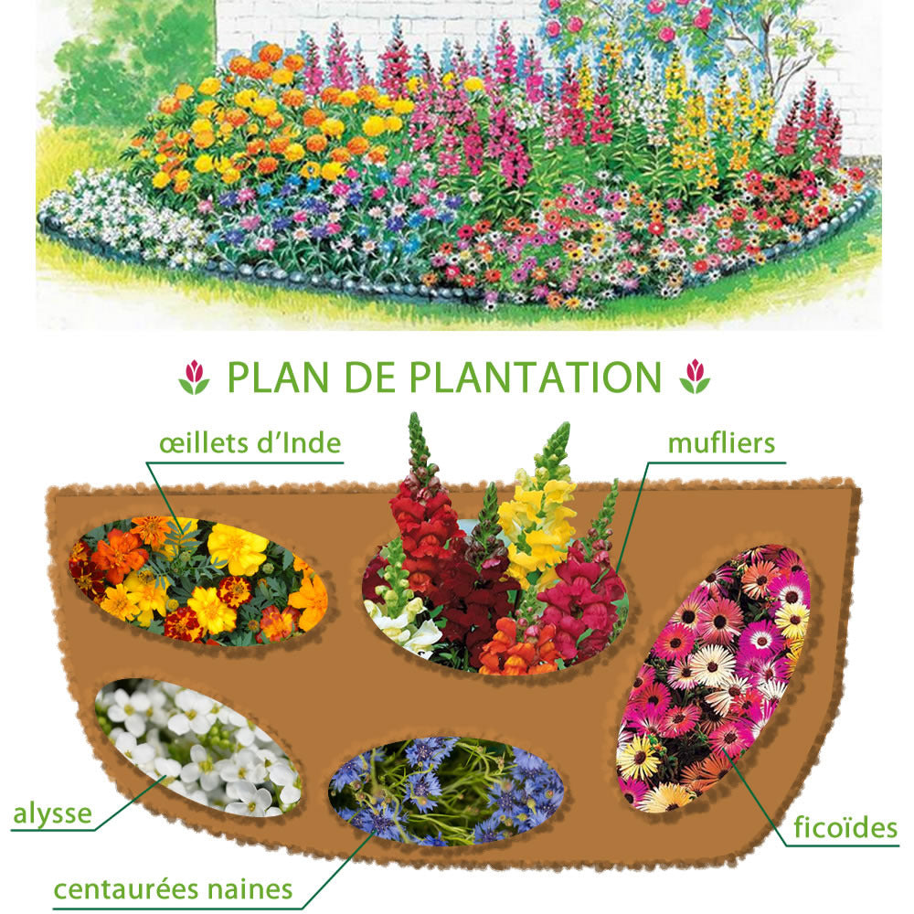 Vente 5 Tapis de graines Massif ensoleillé - Tapis de graines de fleurs