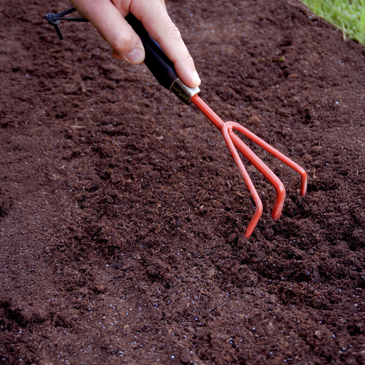 Tapis de fleurs pour jardinière - - Bakker