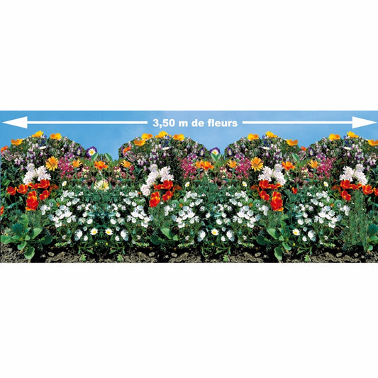 Tapis de graines pour bordures fleuries - Bakker