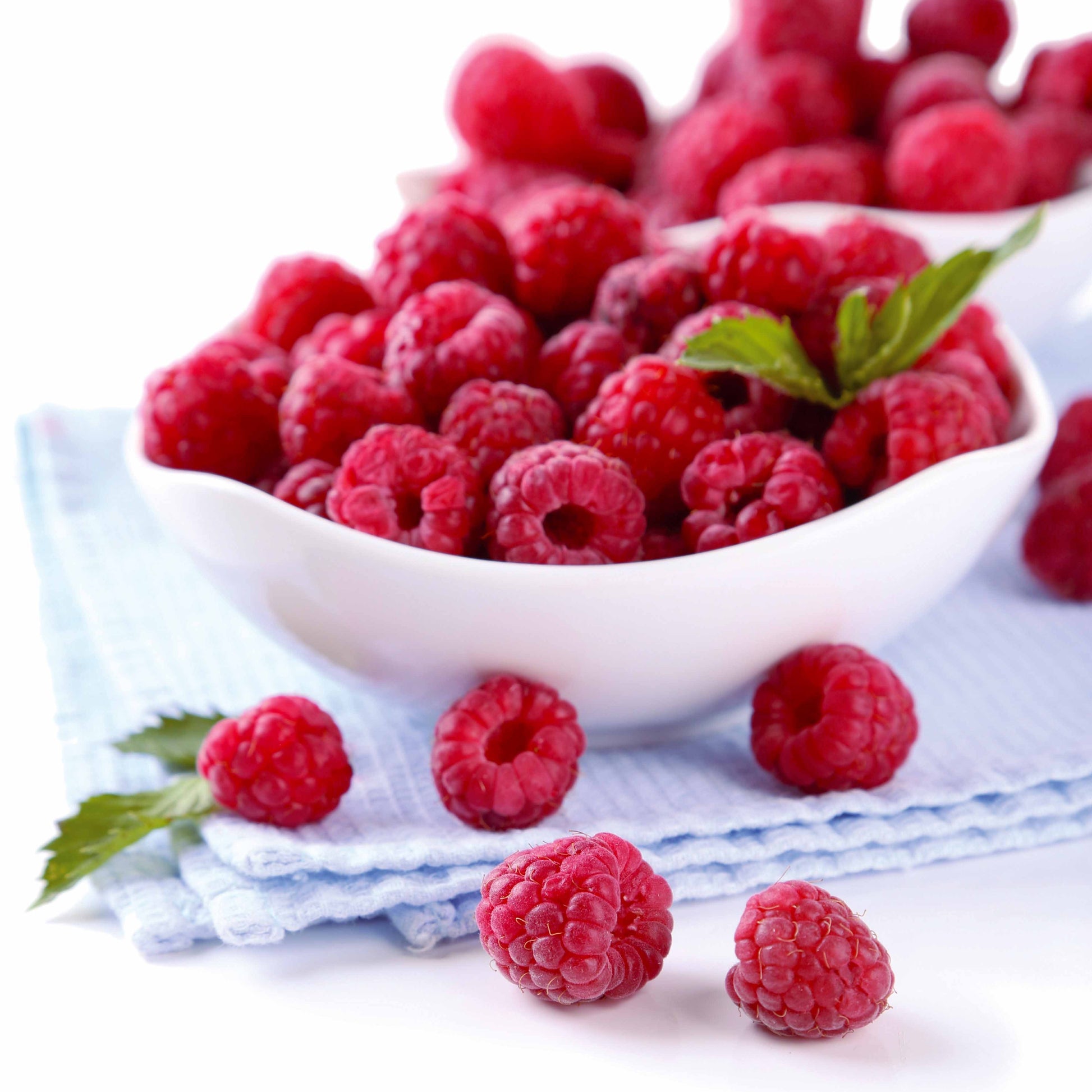 Framboisier remontant Heritage - Rubus idaeus Heritage - Bakker