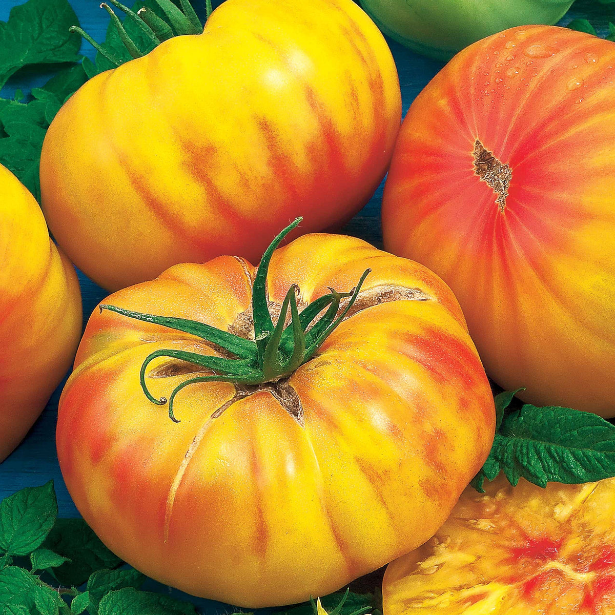 Solanum lycopersicum ananas - Tomate de collection Ananas - Graines de tomates
