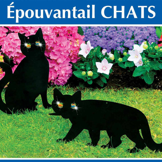 2 Epouvantails chat - Bakker