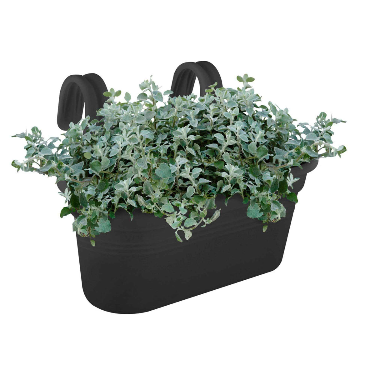 - Elho Balconnière Easy hanger living noir - Jardinières et bacs à fleurs