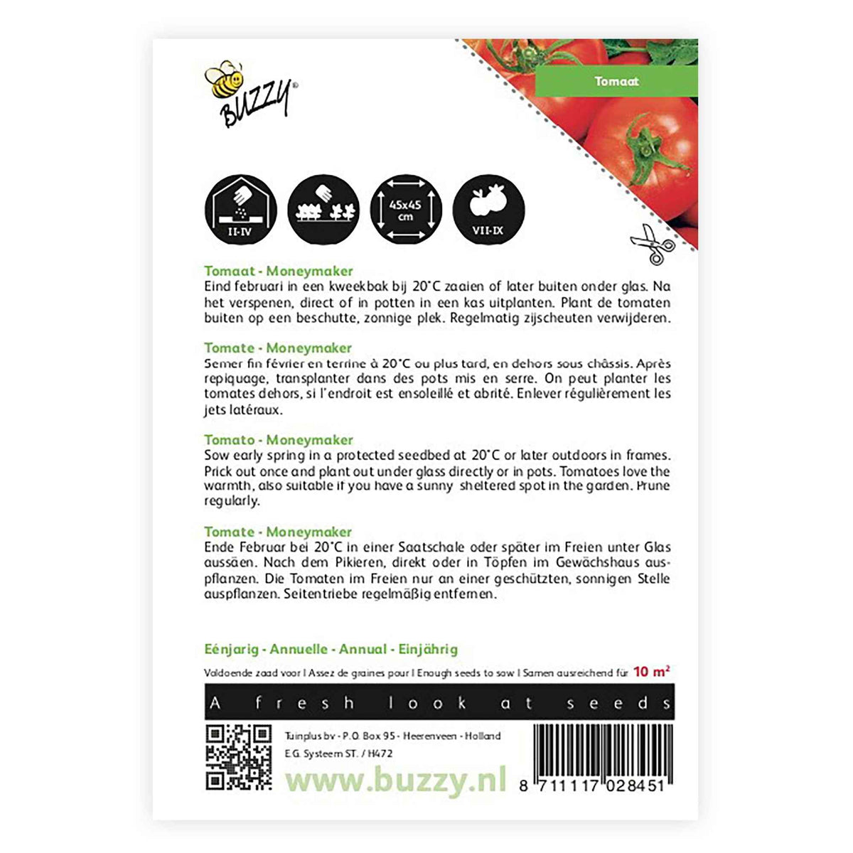 Solanum lycopersicum moneymaker - Tomate 'Moneymaker' - Graines de tomates