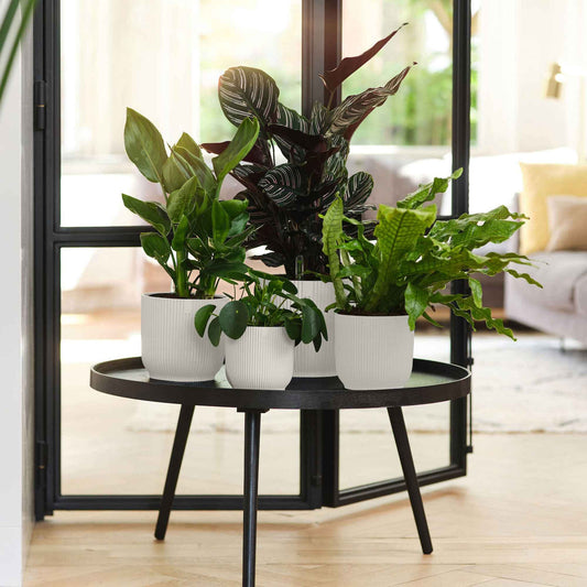 Pot de fleurs Elho Vibes Fold blanc - Bakker