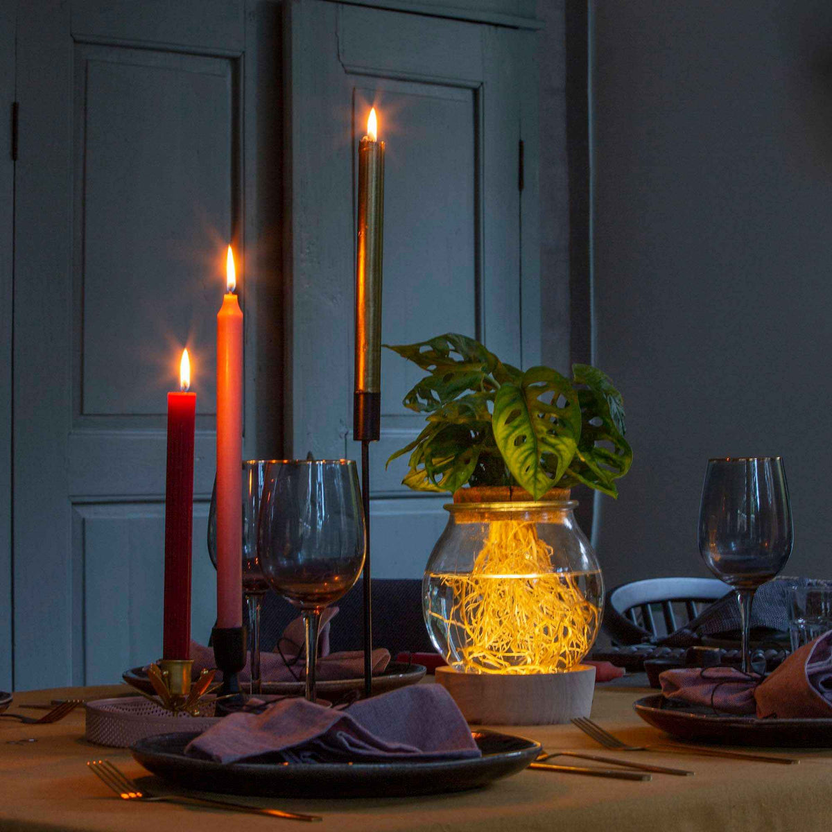 Monstera et son Ampoule vase avec LED - Monstera - Bakker
