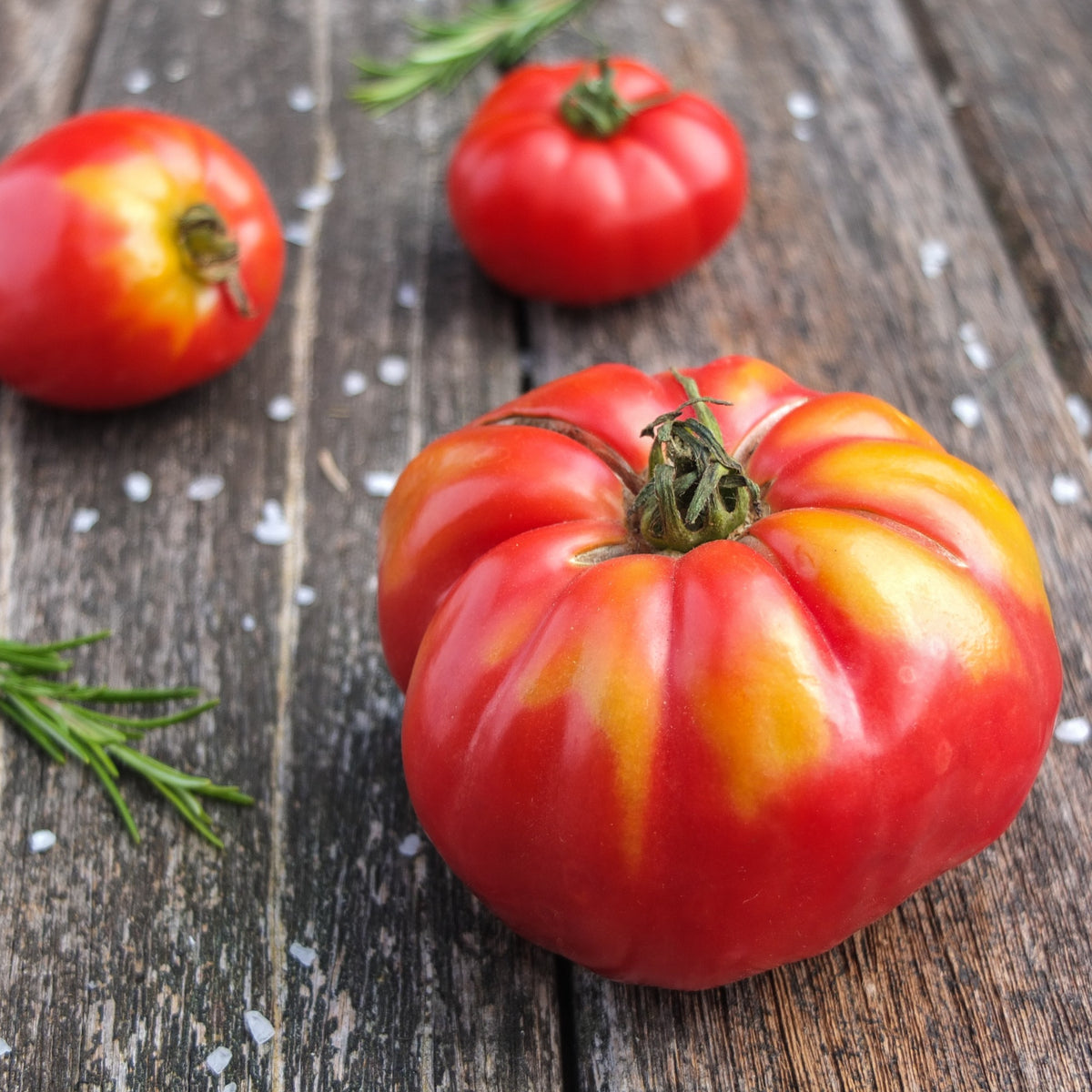 Tomate à très gros fruits Marmande - Solanum lycopersicum Marmande - Bakker
