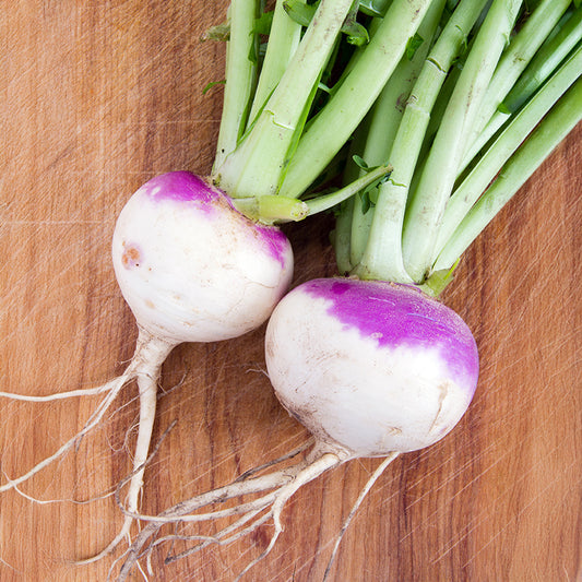 Navet D'Auvergne Tardive - Bakker
