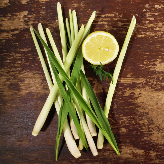 Citronnelle - Bakker