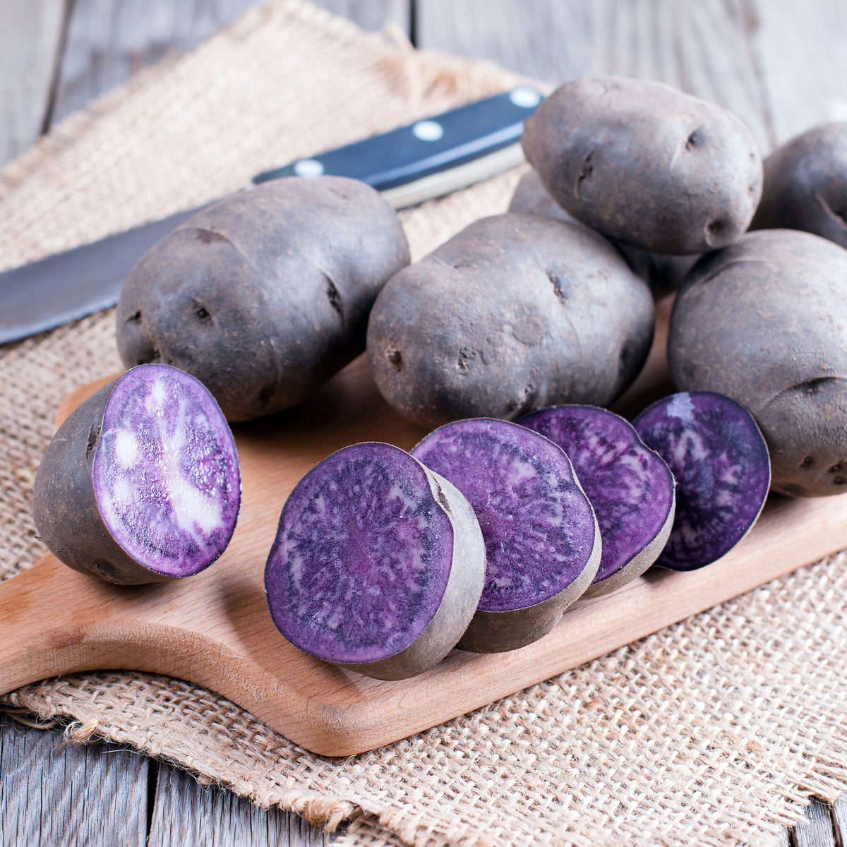 Pommes de terre Ulysse Bio - Solanum tuberosum ulysse - Bakker