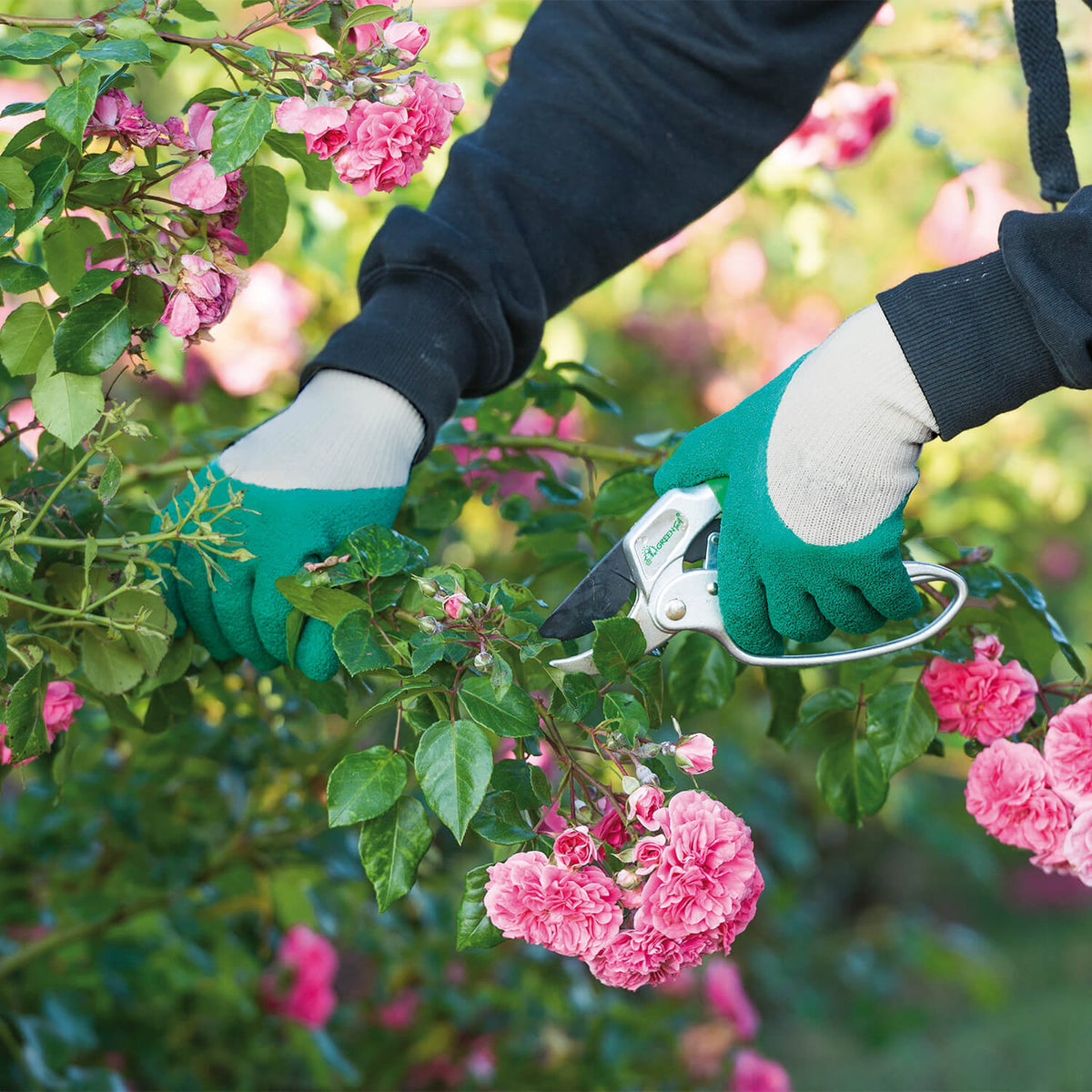 - Gant Rosier vert et gris - Equipement du jardinier