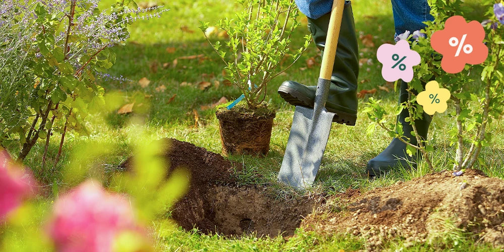 Ne manquez pas la meilleure saison pour planter !