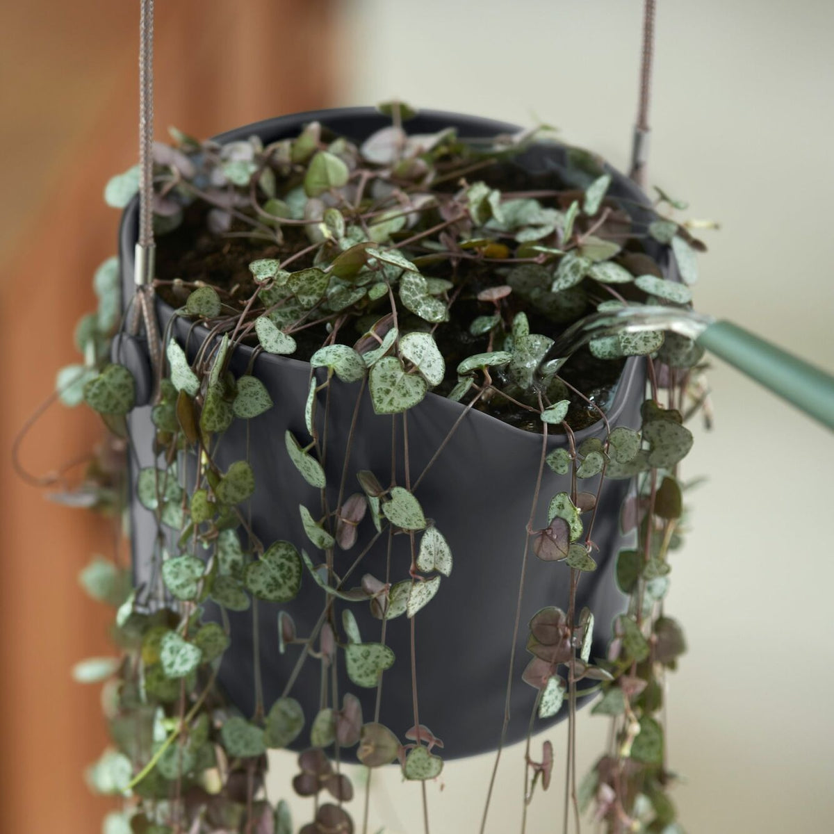 Vente Suspension B for swing gris ELHO -