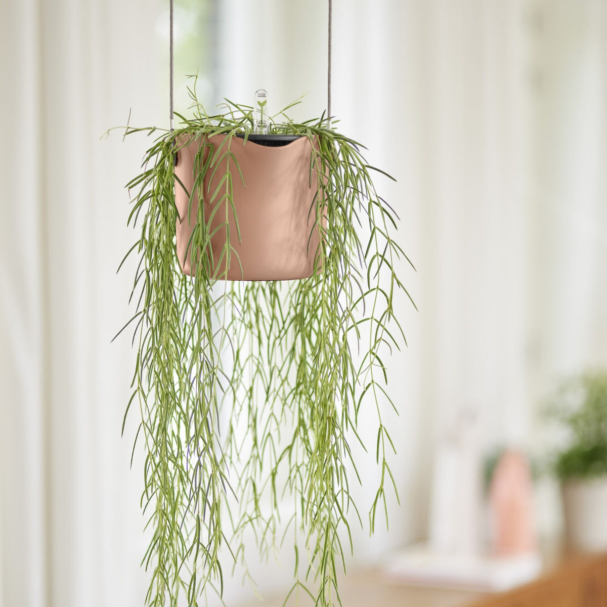 Vente Suspension B for swing rose ELHO - Pots suspendus