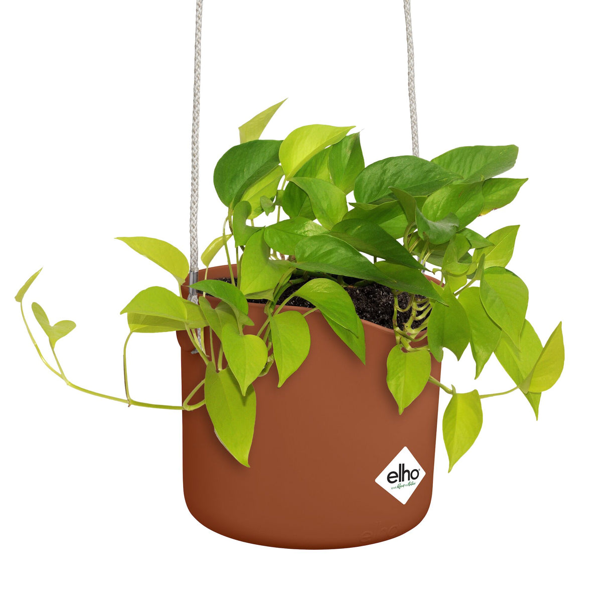 Vente Suspension B for swing terracotta ELHO -