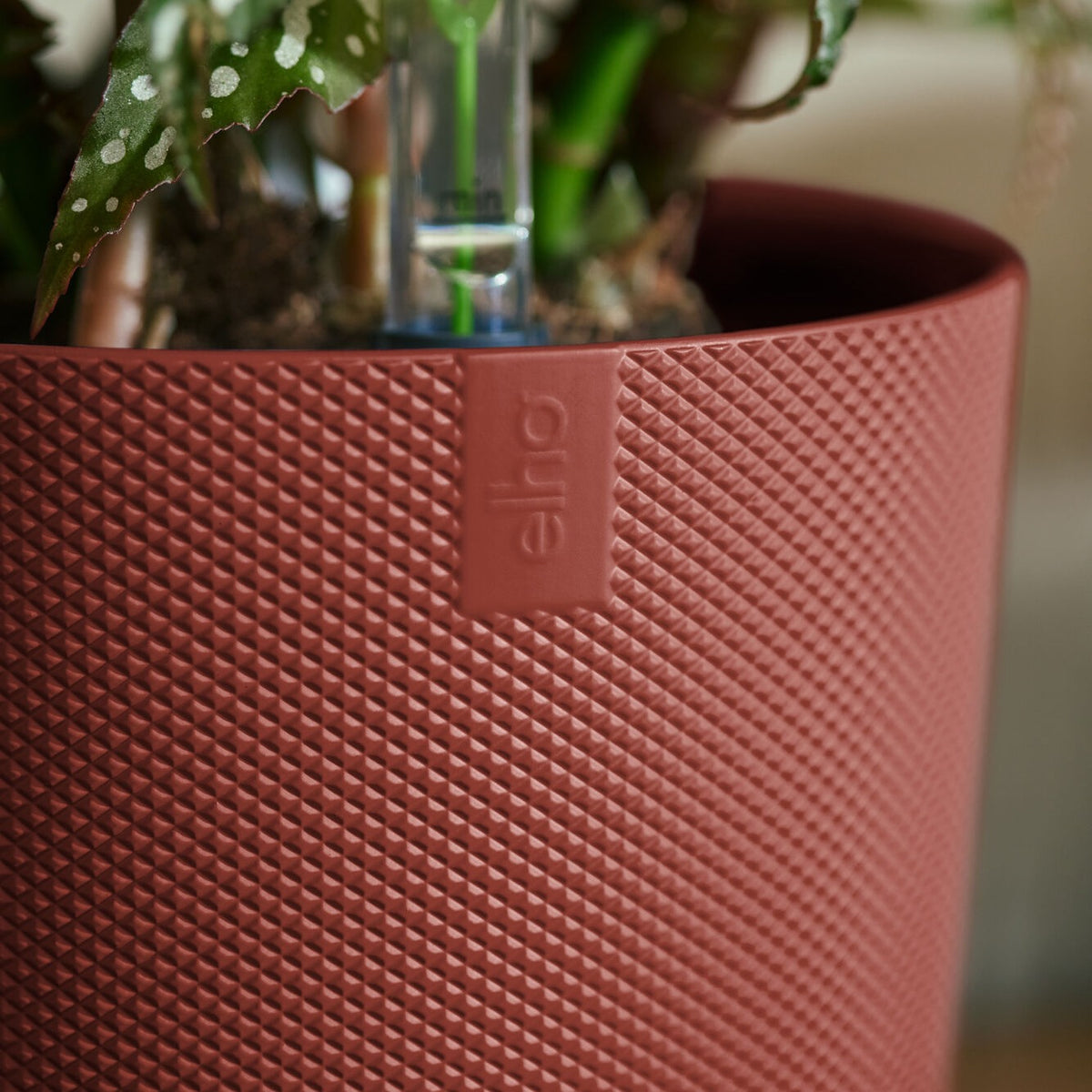 Vente Cache pot Jazz rond Terracotta ELHO -