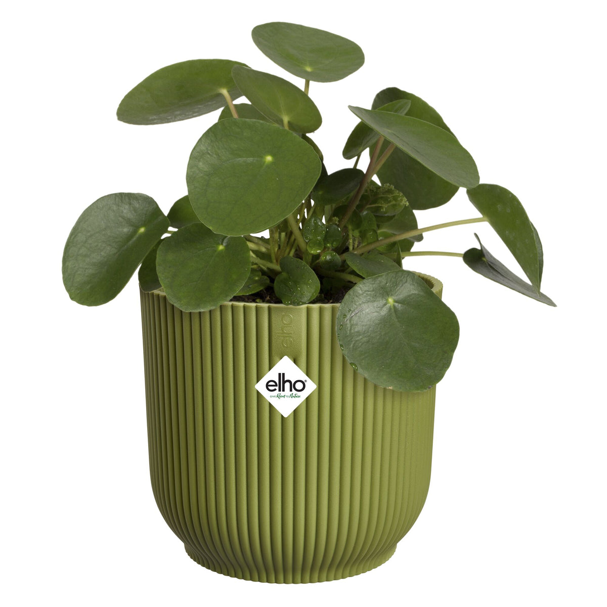 Cache-Pot Vibes fold rond Vert fougère ELHO - - Bakker