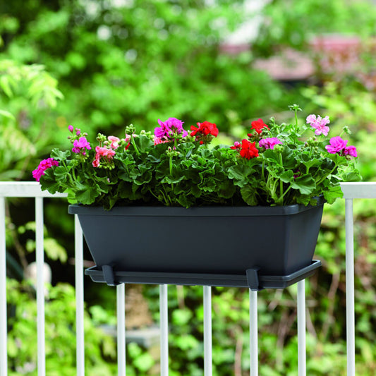 Jardinière Barcelona Anthracite ELHO - Bakker