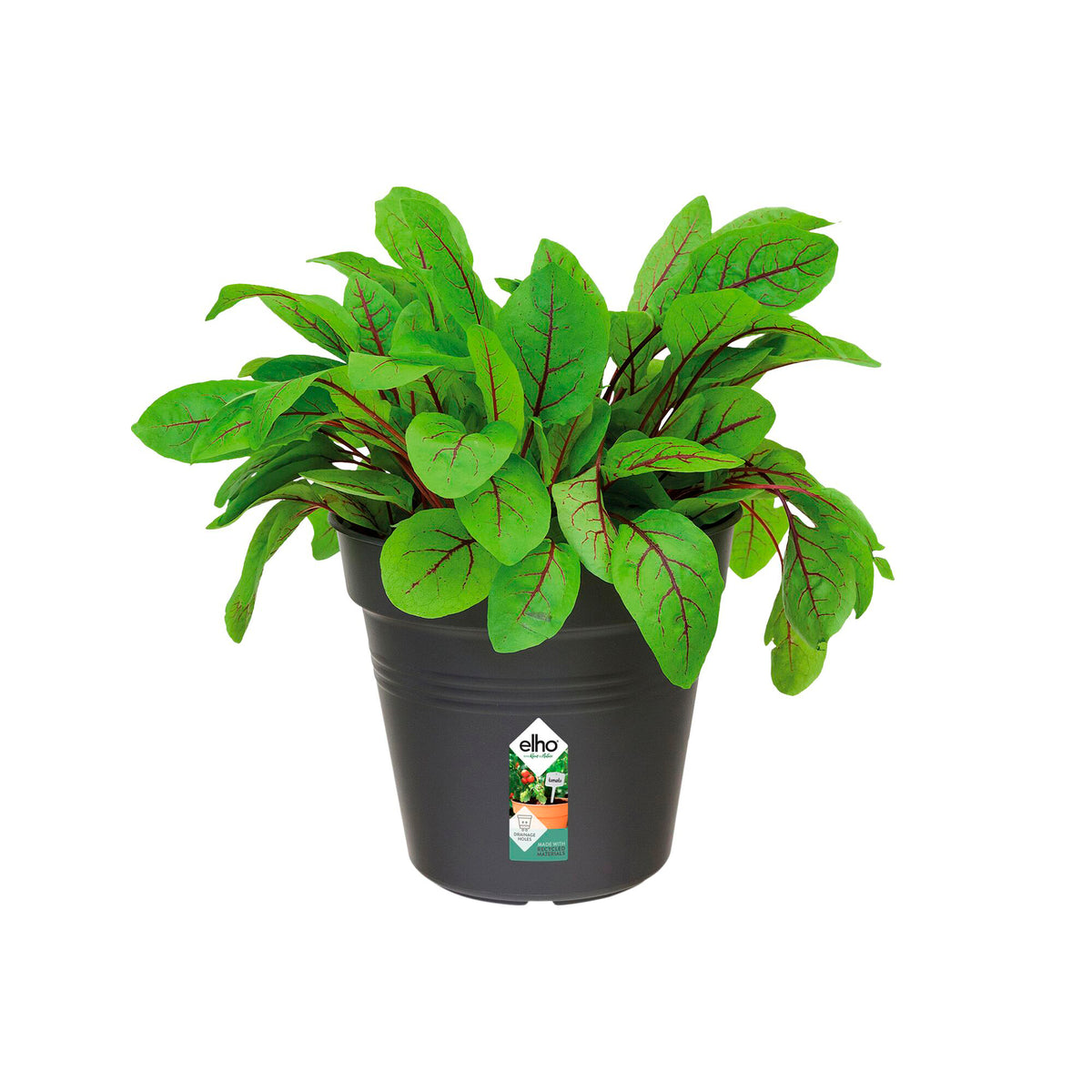 Pot de culture Green Basics Living noir - - Bakker