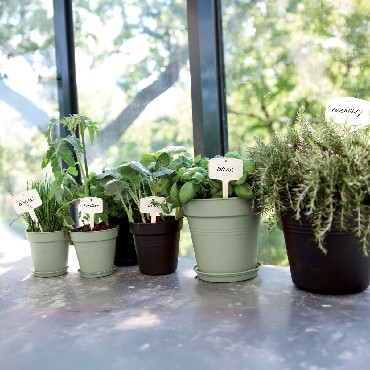 Pot de culture Green Basics Terre cuite - - Bakker
