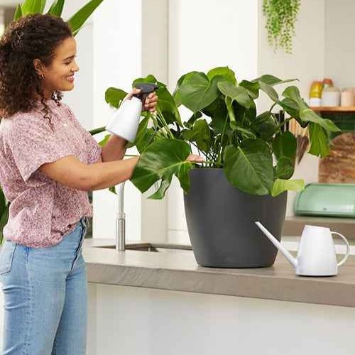 Arrosage pour jardin - Elho arrosoir Brussels blanc -