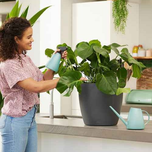 Arrosage pour jardin - Elho arrosoir Brussels menthe -