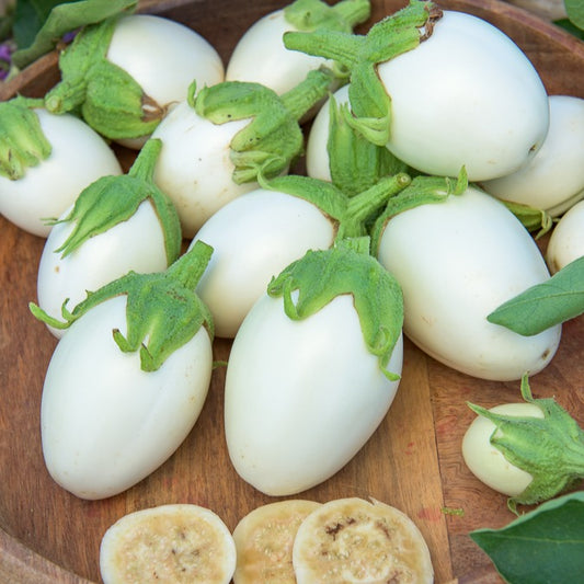 Aubergine Blanche ronde à oeufs - Bakker