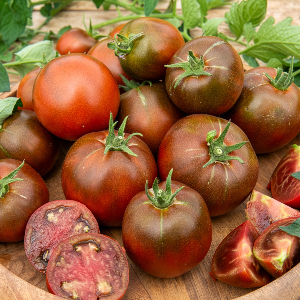 Tomate Noire russe - Solanum lycopersicum noire russe - Bakker