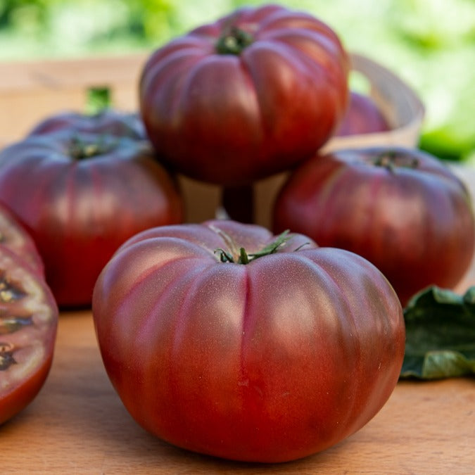 Tomate Noire de Crimée - Bakker