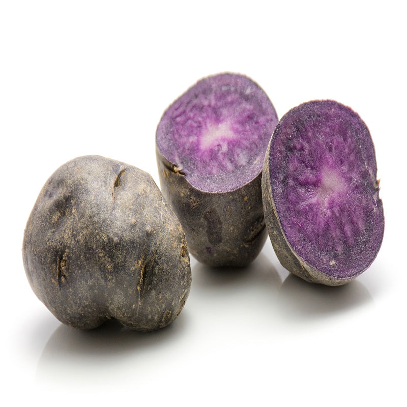 Plants de pommes de terre - Pommes de terre Ulysse Bio - Solanum tuberosum ulysse