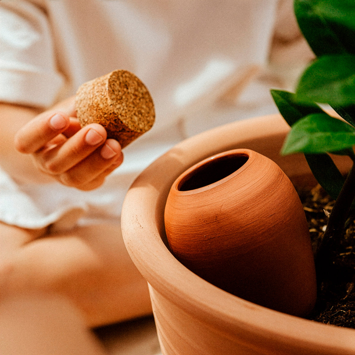- Olla hydratante Terracotta - Arrosage pour jardin