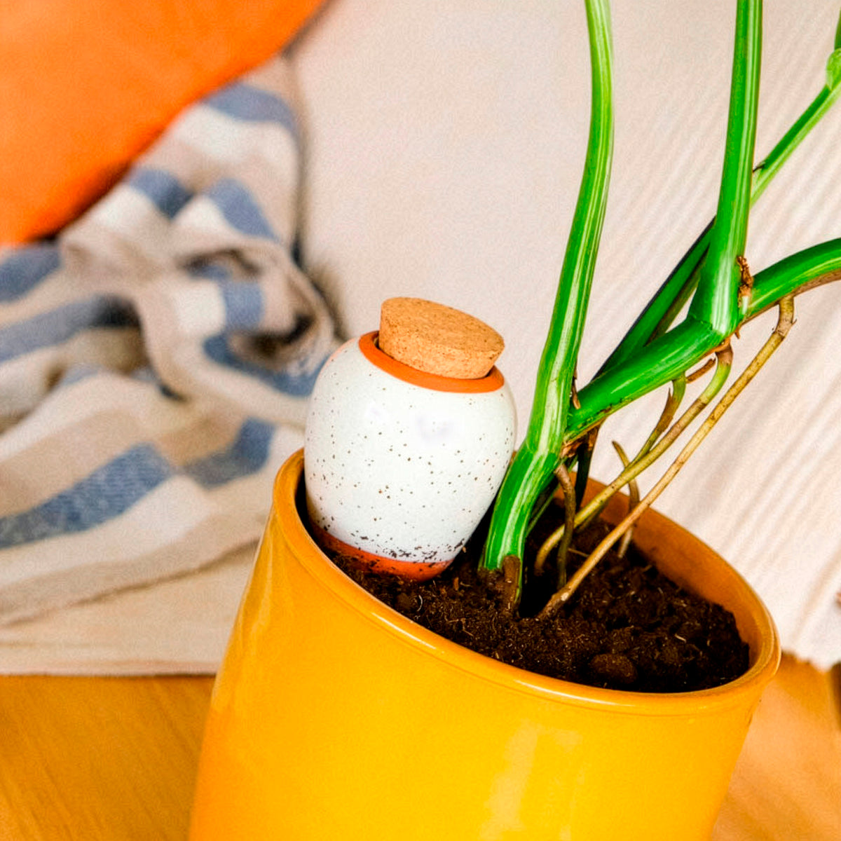 Arrosage pour jardin - Olla hydratante blanc grainé -