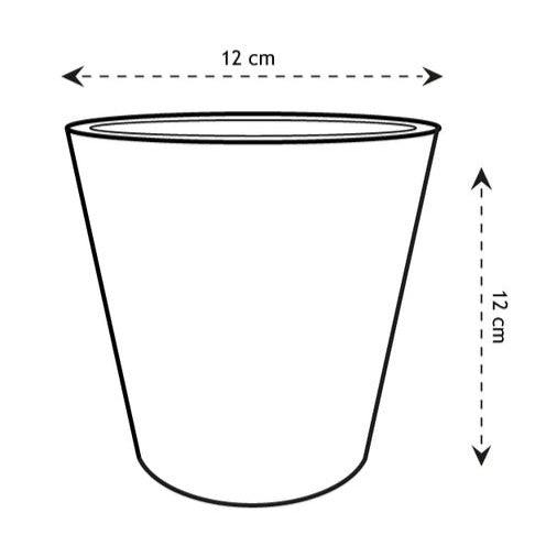 - Zinc Bucket - Entretien et Matériel