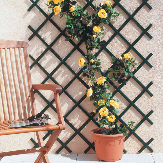 Treillis extensible - Bakker