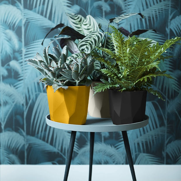 Vente Elho Cache-pot B for rock noir