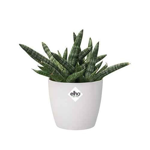 Elho Pot Brussels rond blanc - - Bakker