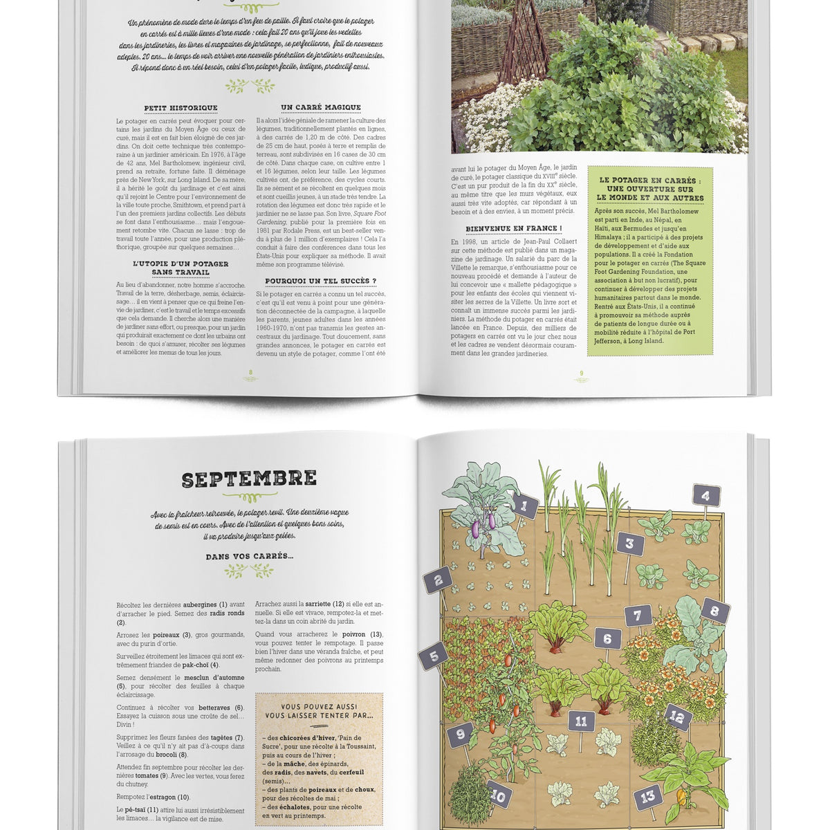Mon carré potager au fil des mois - - Bakker